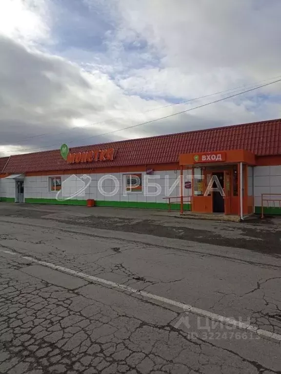 Торговая площадь в Тюменская область, Заводоуковск Центральная ул., ... - Фото 0