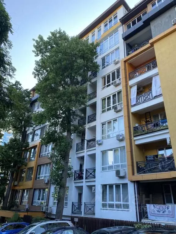 1-к кв. Краснодарский край, Сочи ул. Яна Фабрициуса, 2/27а (38.0 м) - Фото 1