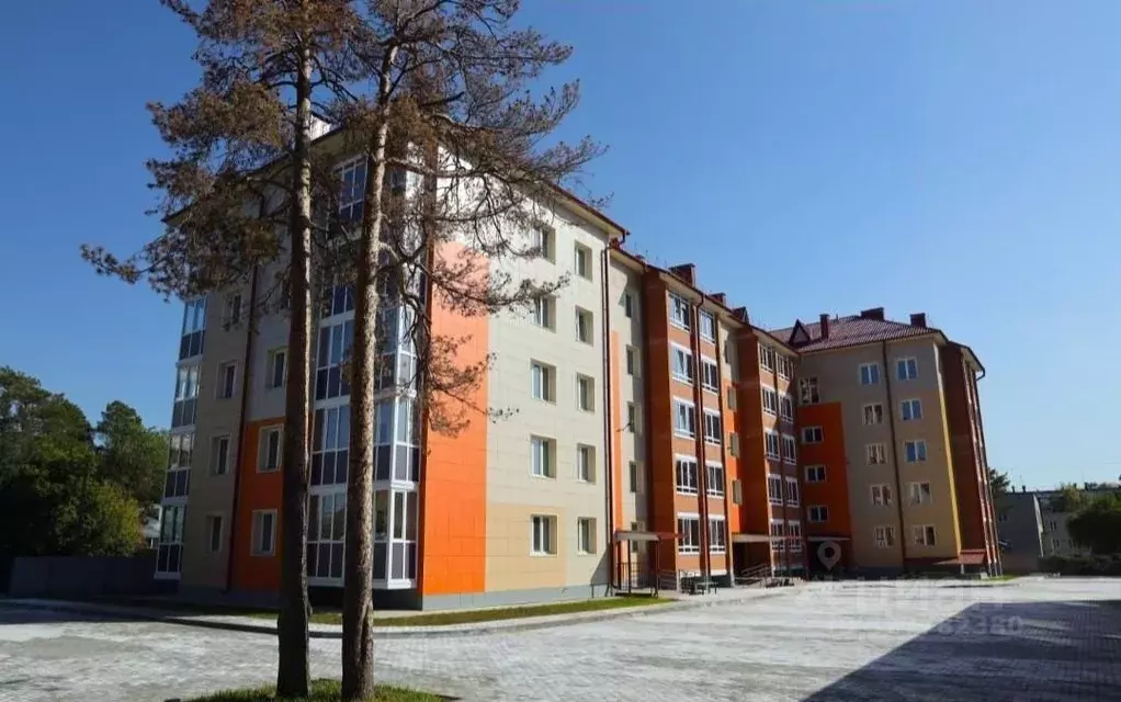 Студия Алтайский край, Бийск ул. Спекова, 6 (24.0 м) - Фото 1