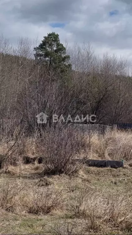 Участок в Бурятия, Кабанский район, Цементник СНТ ул. Березовая, 9 ... - Фото 0