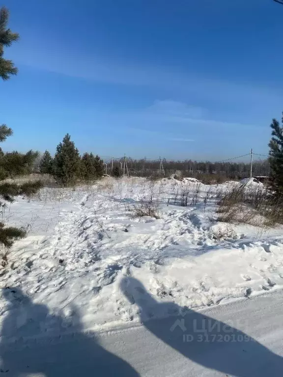 Участок в Свердловская область, Екатеринбург Улесье кп,  (10.0 сот.) - Фото 1