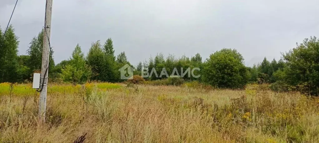 Участок в Татарстан, Нижнекамский район, Каенлинское с/пос, Борок СНТ  ... - Фото 2