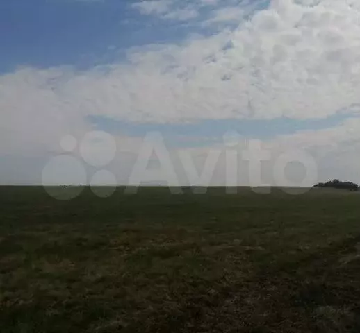 Участок 4,8 га (СНТ, ДНП) - Фото 0