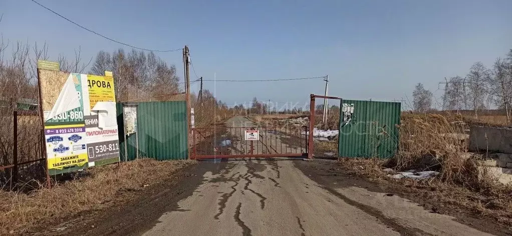 Участок в Тюменская область, Тюмень Светлое садовое товарищество,  ... - Фото 0