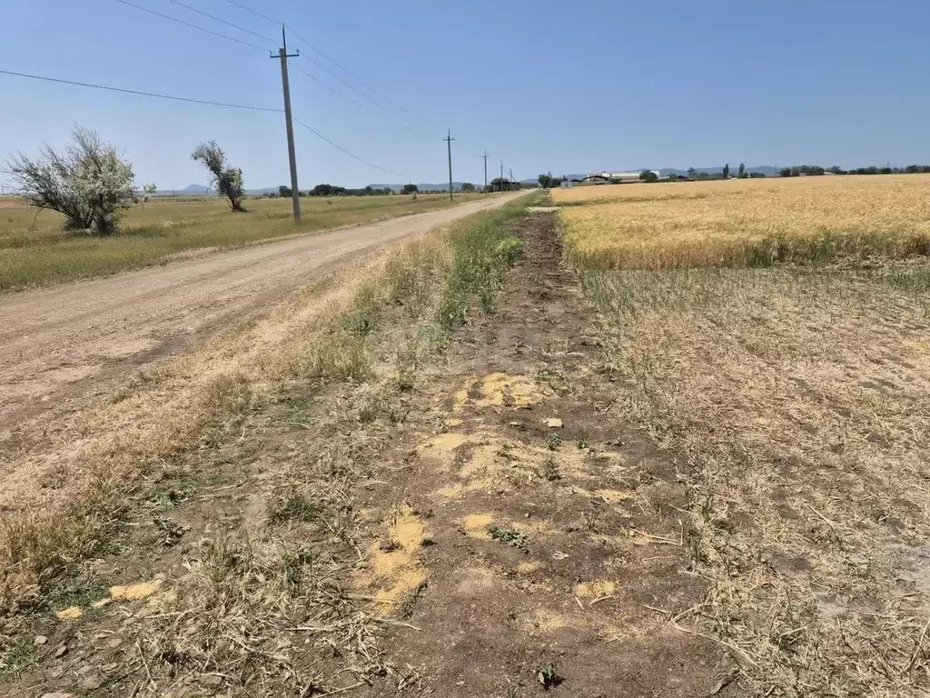 Участок в Крым, Кировский район, Журавское с/пос, с. Видное ул. ... - Фото 1