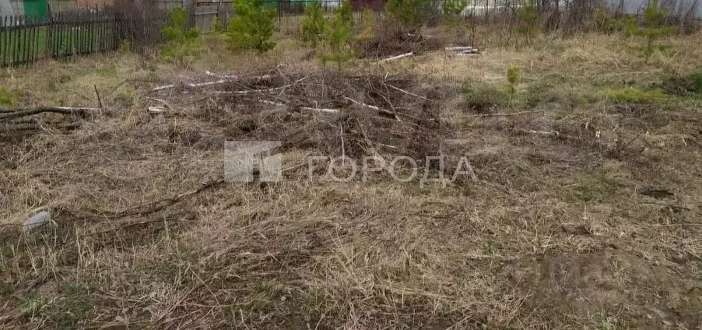 Участок в Новосибирская область, Новосибирский район, Криводановский ... - Фото 0