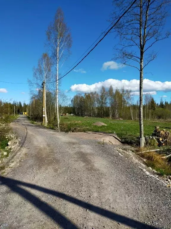 Участок в Ленинградская область, Приозерский район, Мельниковское ... - Фото 1