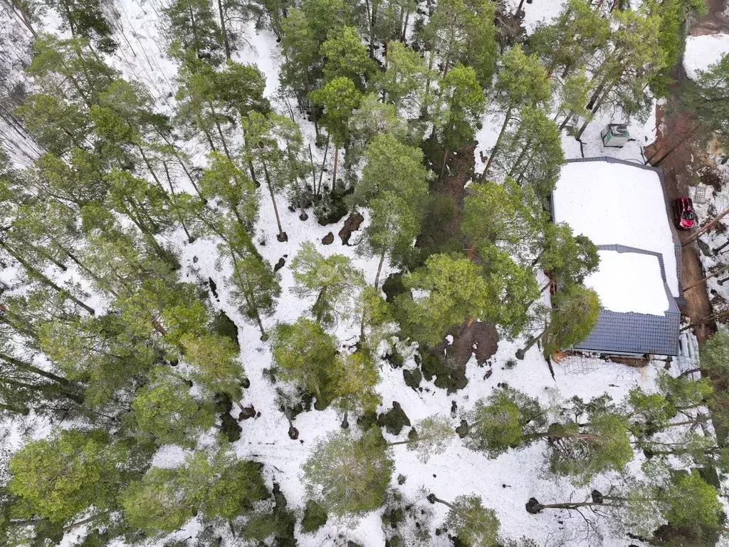 Участок в Московская область, Ступино городской округ, д. Соколова ... - Фото 2