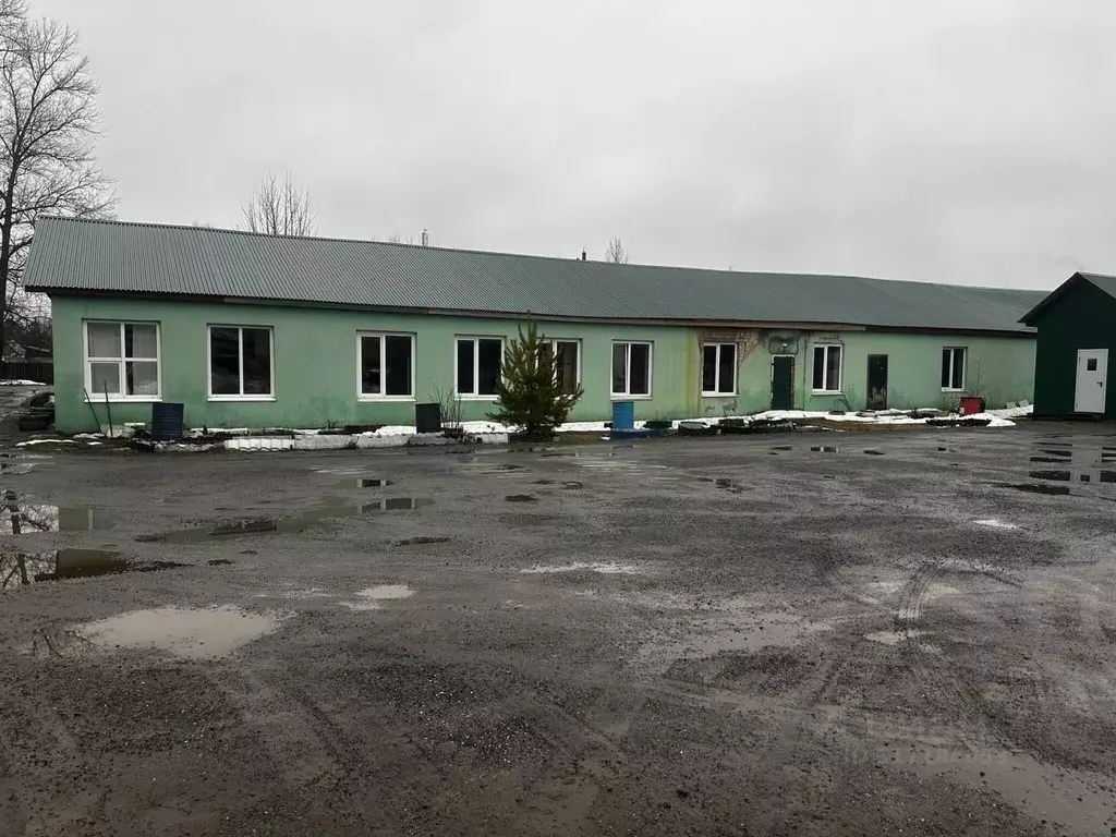 Помещение свободного назначения в Владимирская область, Судогда ул. ... - Фото 0
