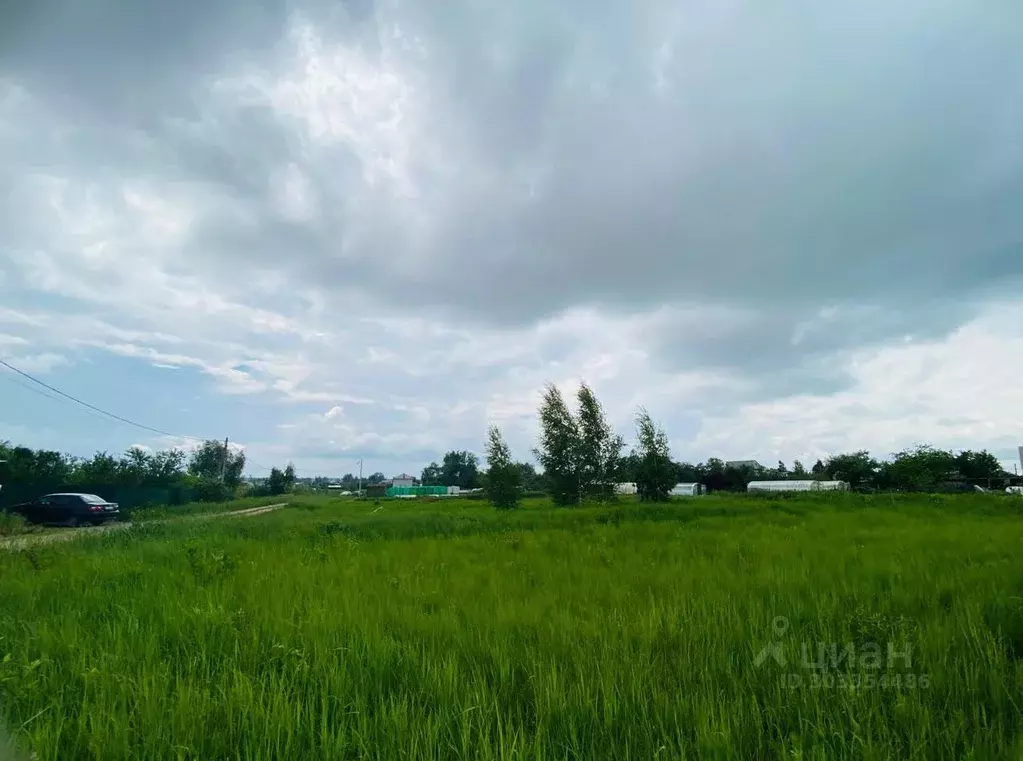 Участок в Владимирская область, Муром с. Ковардицы, ул. 1-я Садовая, ... - Фото 1