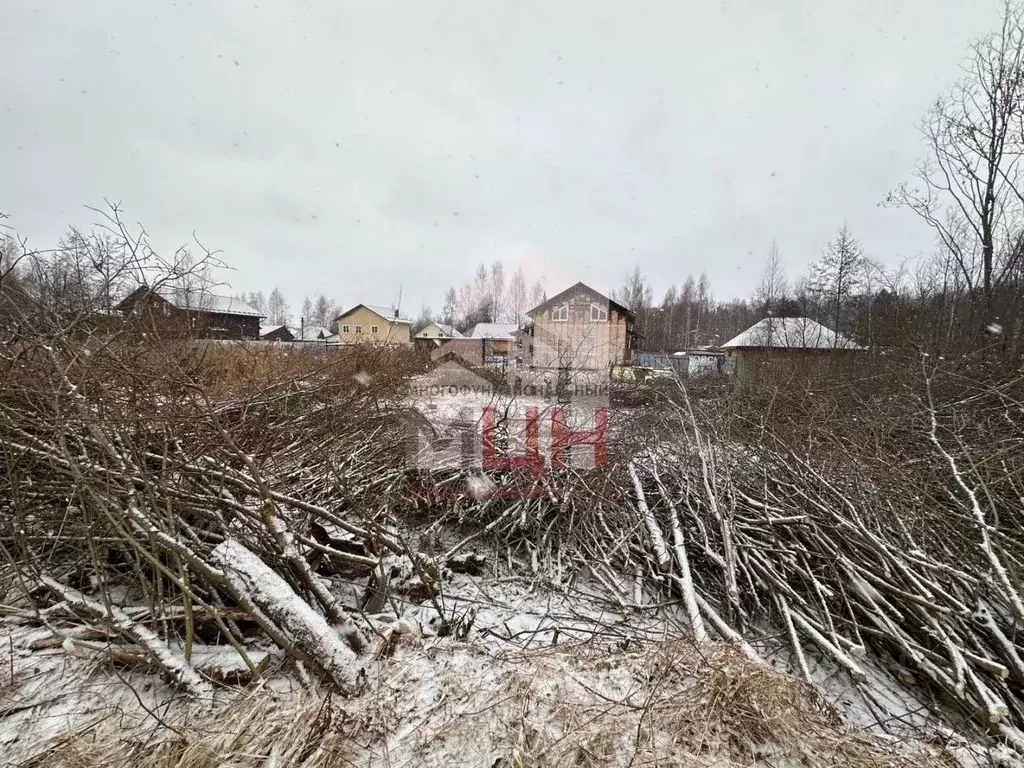 Участок в Тверская область, Конаковский муниципальный округ, Ремонтник ... - Фото 1