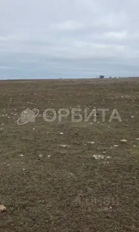 Участок в Крым, Черноморское пгт ул. Кирова (170.0 сот.) - Фото 1