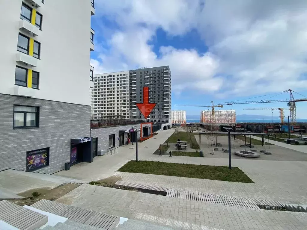 Помещение свободного назначения в Краснодарский край, Новороссийск ул. ... - Фото 1