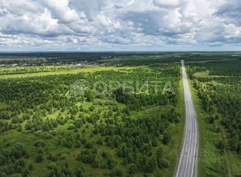 Участок в Свердловская область, Слободо-Туринский район, ... - Фото 1