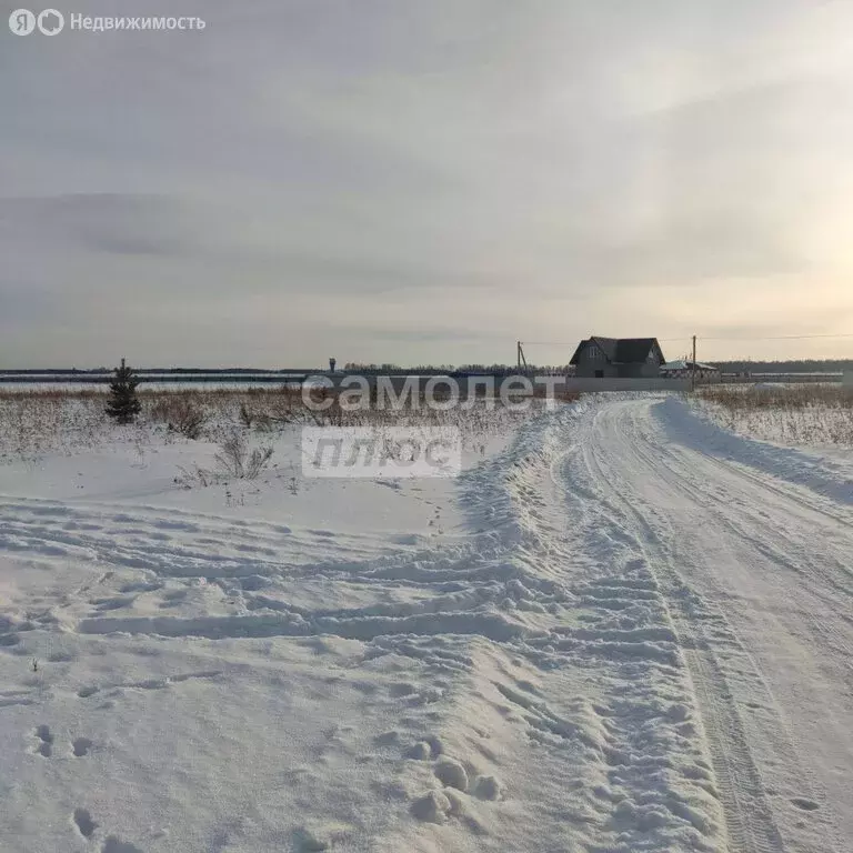 Участок в Тюменский район, село Луговое (6 м) - Фото 0