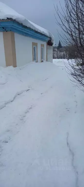 Дом в Алтайский край, Барнаул городской округ, с. Лебяжье ул. Озерная ... - Фото 1