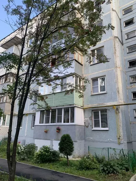 2-к кв. Московская область, Ивантеевка Пушкинский городской округ, ... - Фото 1