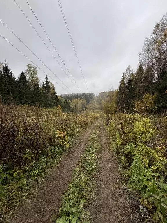 Участок в Московская область, Дмитровский муниципальный округ, ... - Фото 2