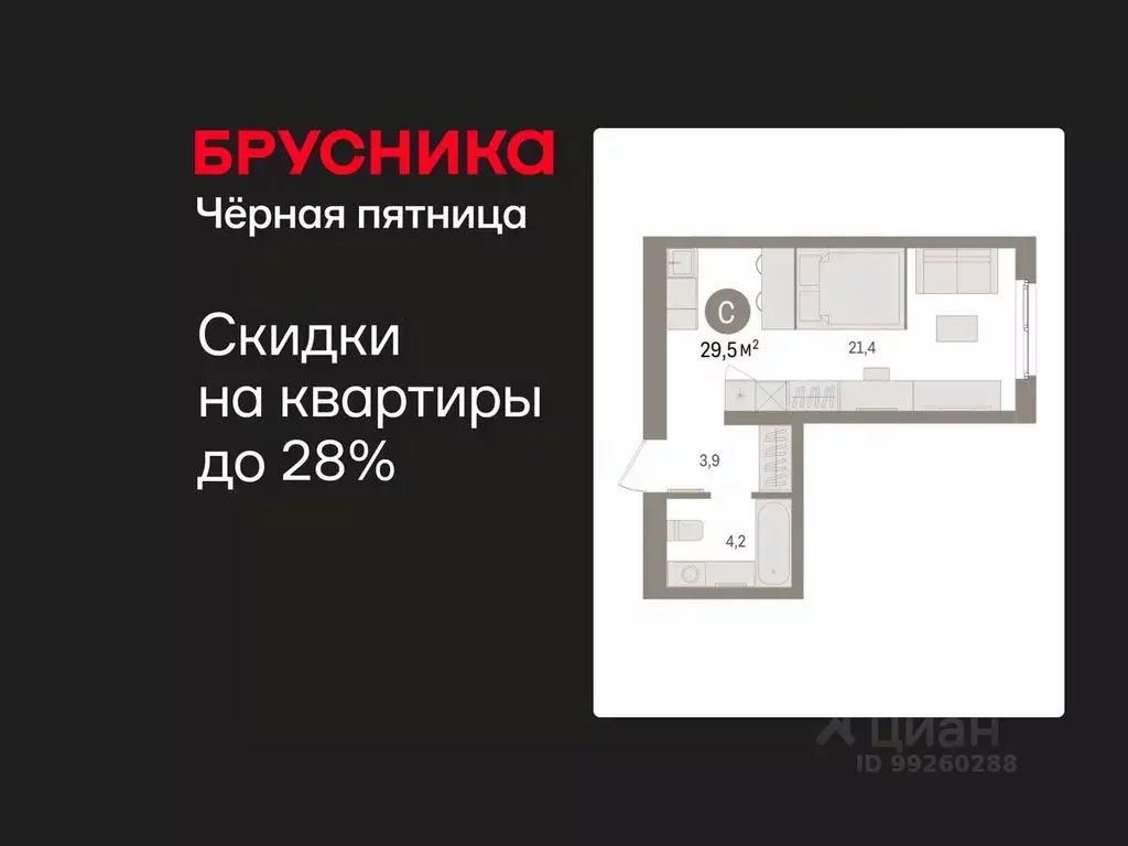 Студия Свердловская область, Екатеринбург пер. Торфяной, 4 (29.5 м) - Фото 1