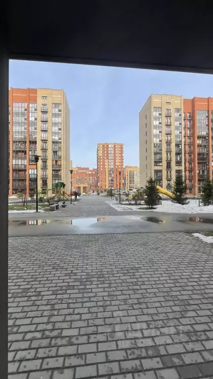 1-к кв. Новосибирская область, Новосибирск Красный просп., 309 (36.6 ... - Фото 2