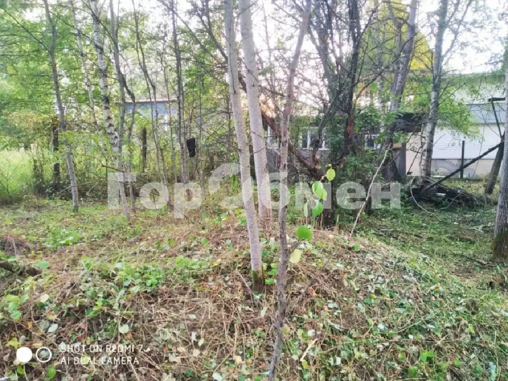 Продается участок в СНТ Журналист - Фото 1