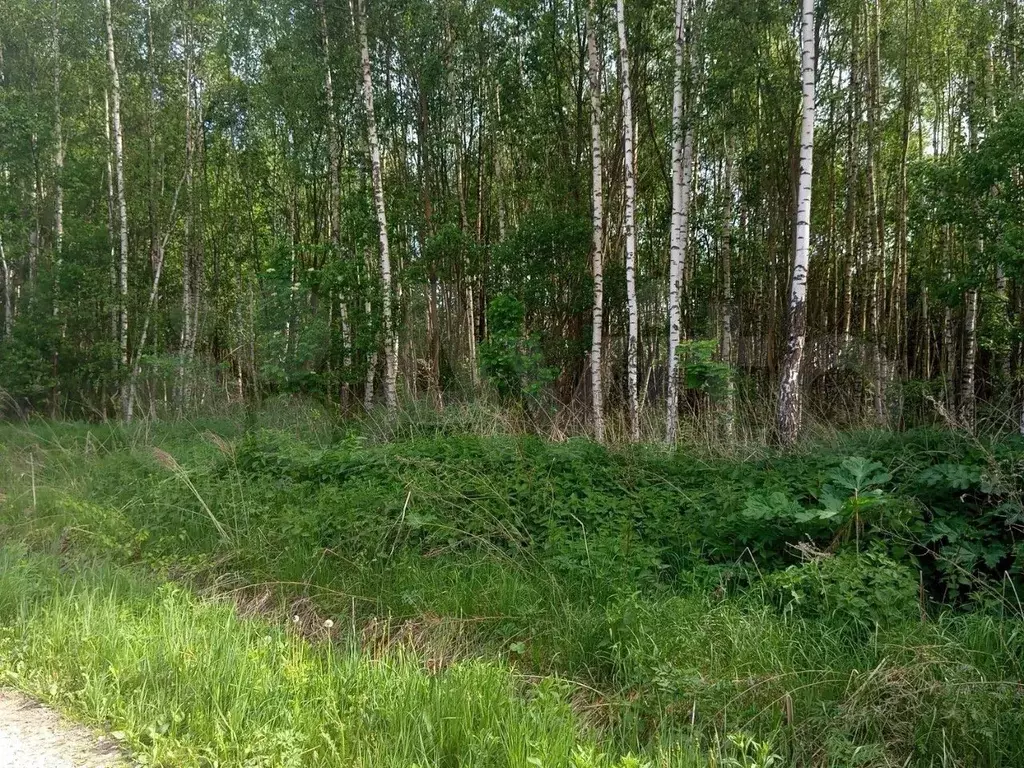 Участок 10,4 сот. (ИЖС) - Фото 1