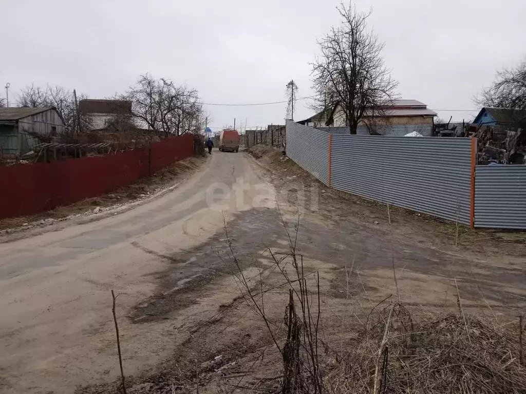 Участок в Брянская область, Брянский район, Снежское с/пос, пос. ... - Фото 2