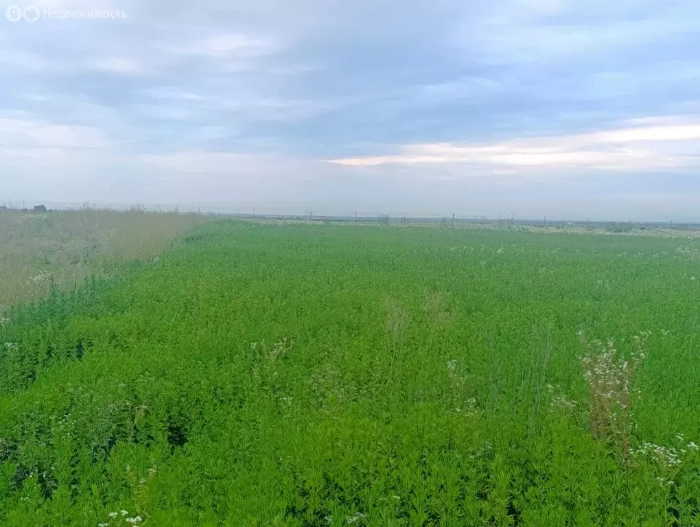 Участок в Кабардино-Балкарская Республика, Чегем (8 м) - Фото 1