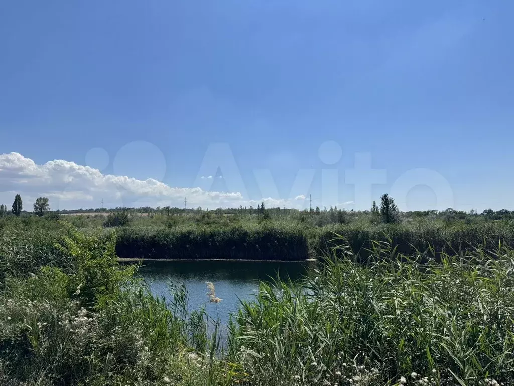 Участок 3 га (СНТ, ДНП) - Фото 0