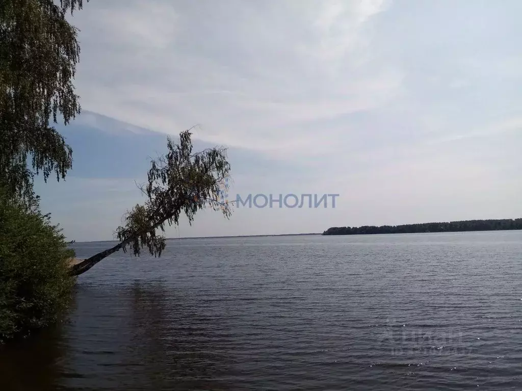 Коттедж в Нижегородская область, Чкаловск муниципальный округ, д. ... - Фото 1