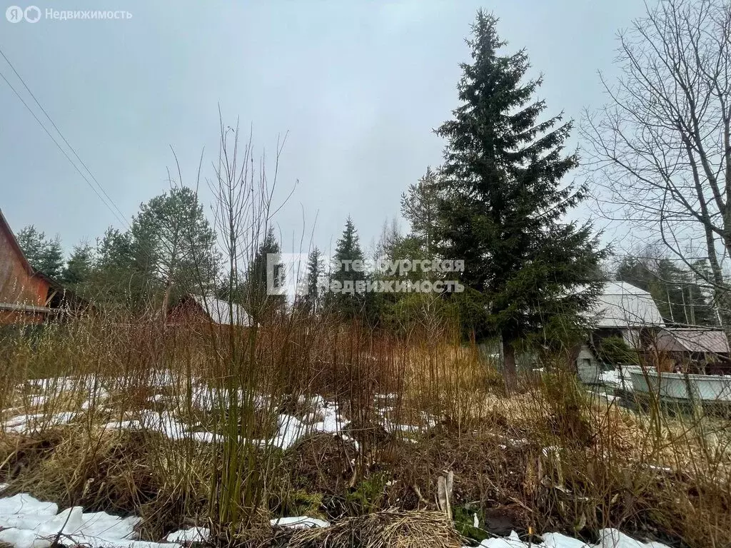 Участок в Выборгский район, Рощинское городское поселение, ... - Фото 1
