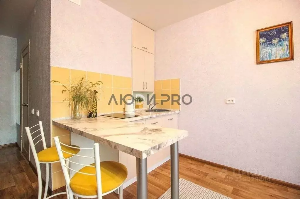 Студия Алтайский край, Барнаул тракт Павловский, 305 (28.4 м) - Фото 1