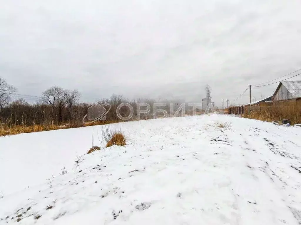 Участок в Тюменская область, Тюмень Энергостроитель СНТ, ул. Липовая ... - Фото 2