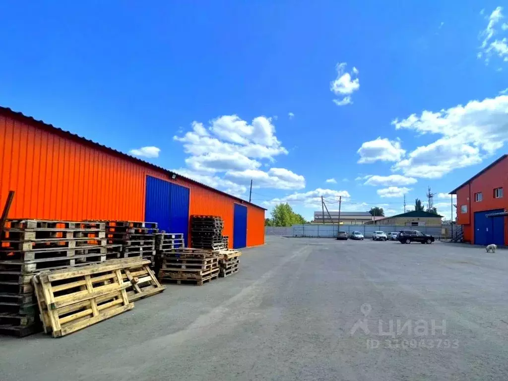 Склад в Пензенская область, Пензенский район, Мичуринский сельсовет, ... - Фото 1