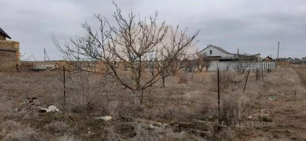 Участок в Крым, Сакский район, с. Лесновка ул. Абрикосовая (10.0 сот.) - Фото 1