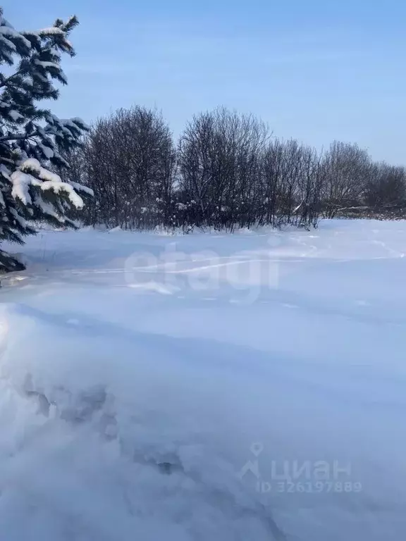 Участок в Тульская область, Тула городской округ, д. Иврово  (15.0 ... - Фото 1