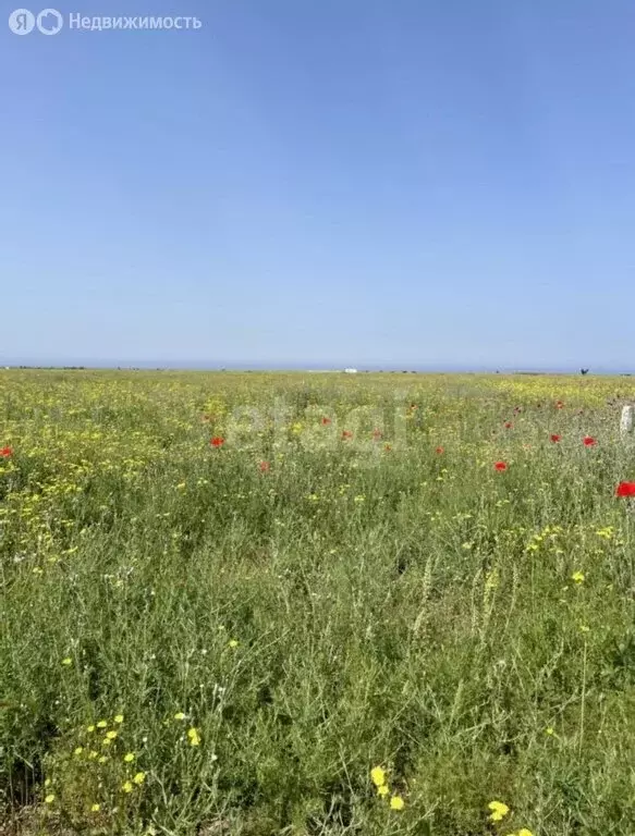 Участок в Сакский район, село Штормовое (6 м) - Фото 1