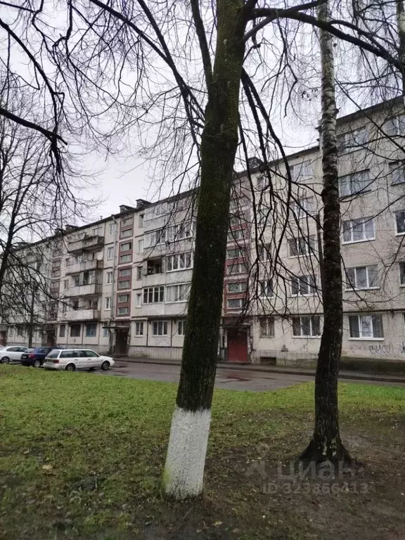 1-к кв. Ленинградская область, Сланцы ул. Максима Горького, 20 (30.2 ... - Фото 1