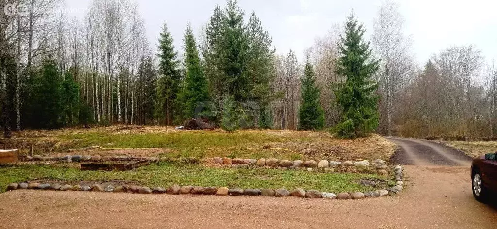 Участок в Новгородская область, Демянский муниципальный округ, деревня ... - Фото 1