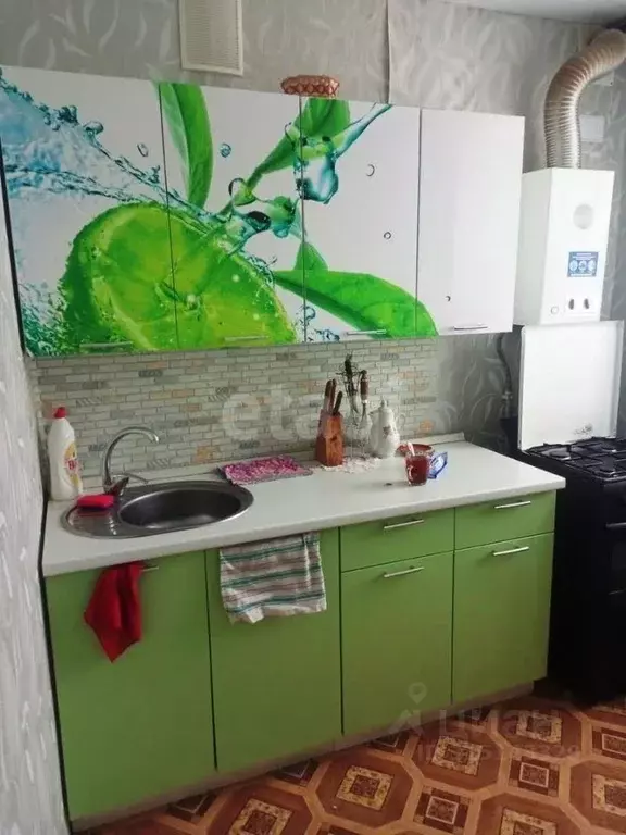 1-к кв. Архангельская область, Вычегодский рп ул. Ленина, 59 (30.2 м) - Фото 0