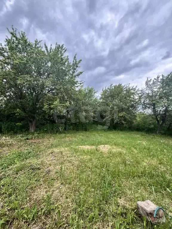 Участок в Тульская область, Чернский район, Тургеневское с/пос, д. ... - Фото 2
