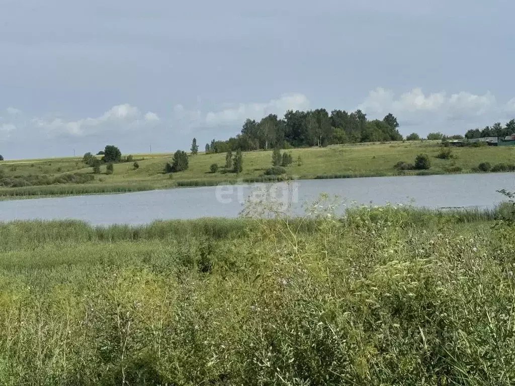 Участок в Брянская область, с. Жирятино  (20000.0 сот.) - Фото 0