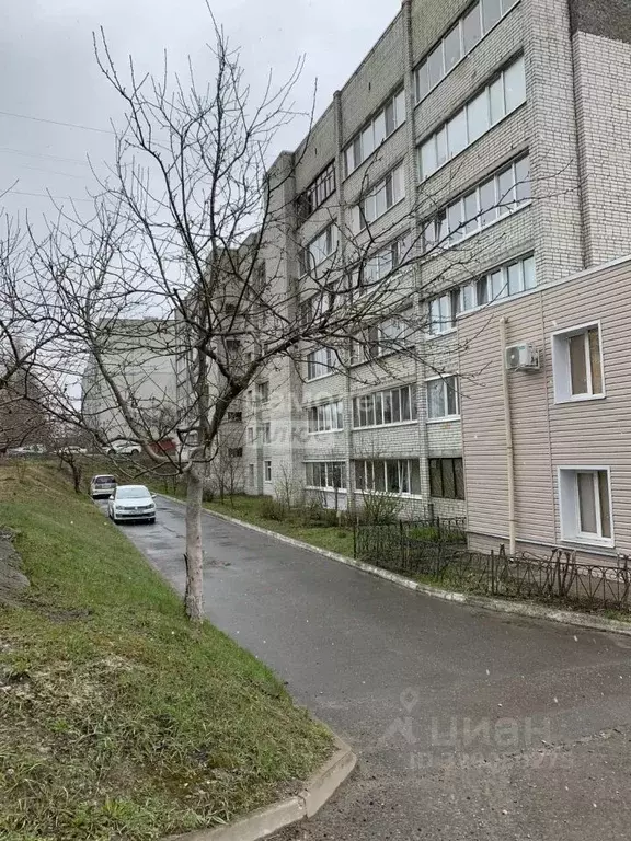 2-к кв. Брянская область, Брянск просп. Станке Димитрова, 55В (49.0 м) - Фото 2
