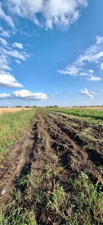 участок в нижегородская область, арзамас городской округ, с. новоселки . - Фото 1