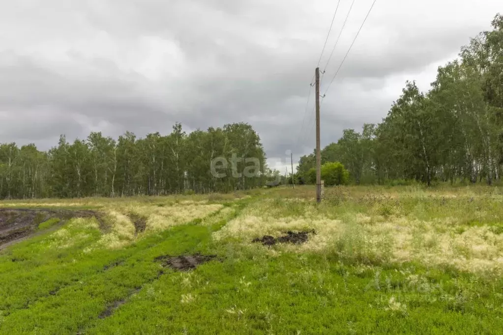 Участок в Омская область, с. Азово  (13.0 сот.) - Фото 1