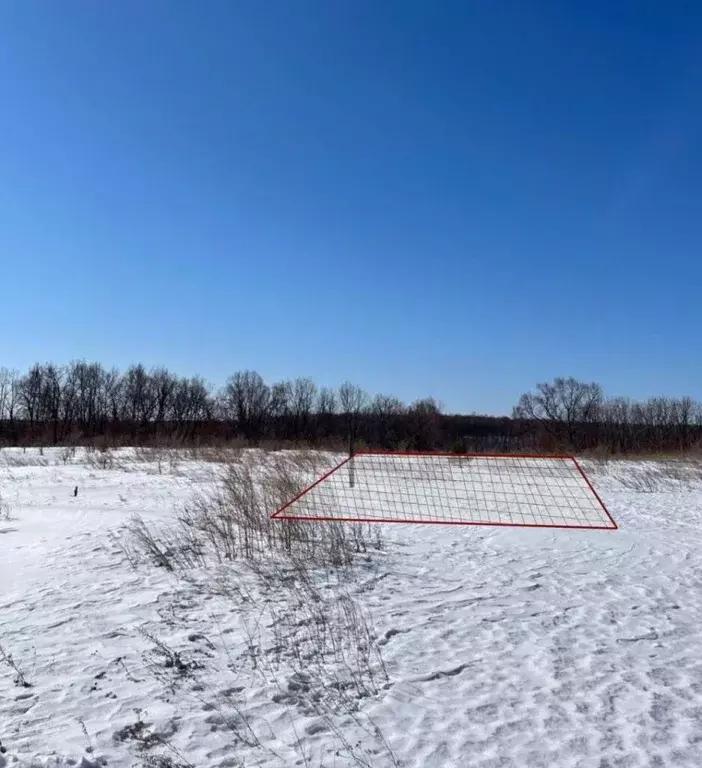 Участок в Амурская область, Благовещенский район, с. Кантон-Коммуна  ... - Фото 1