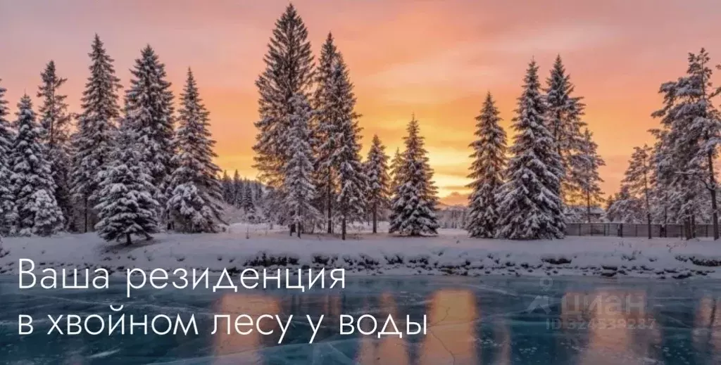 Дом в Московская область, Истра муниципальный округ, с. Новопетровское ... - Фото 2
