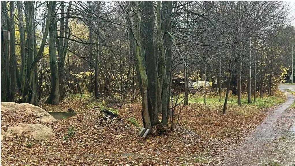 Участок в Московская область, Ступино городской округ, с. ... - Фото 1