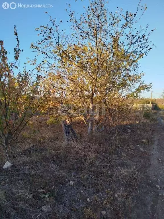 Участок в Ставрополь, садовое товарищество Вольница-2 (6 м) - Фото 1