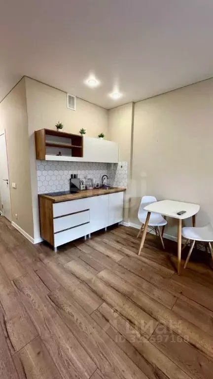 Студия Тюменская область, Тюменский муниципальный округ, д. Дударева ... - Фото 2